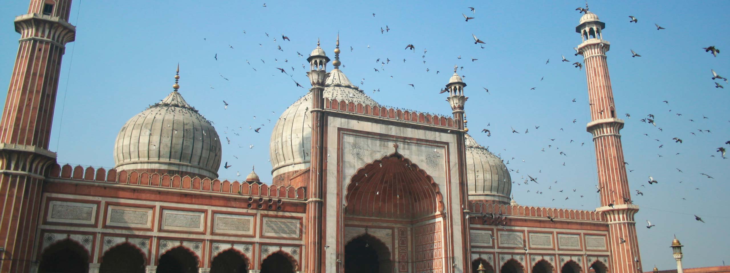 Book flights to Lucknow