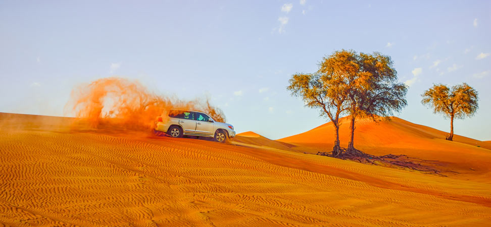 سفاري صحراء دبي