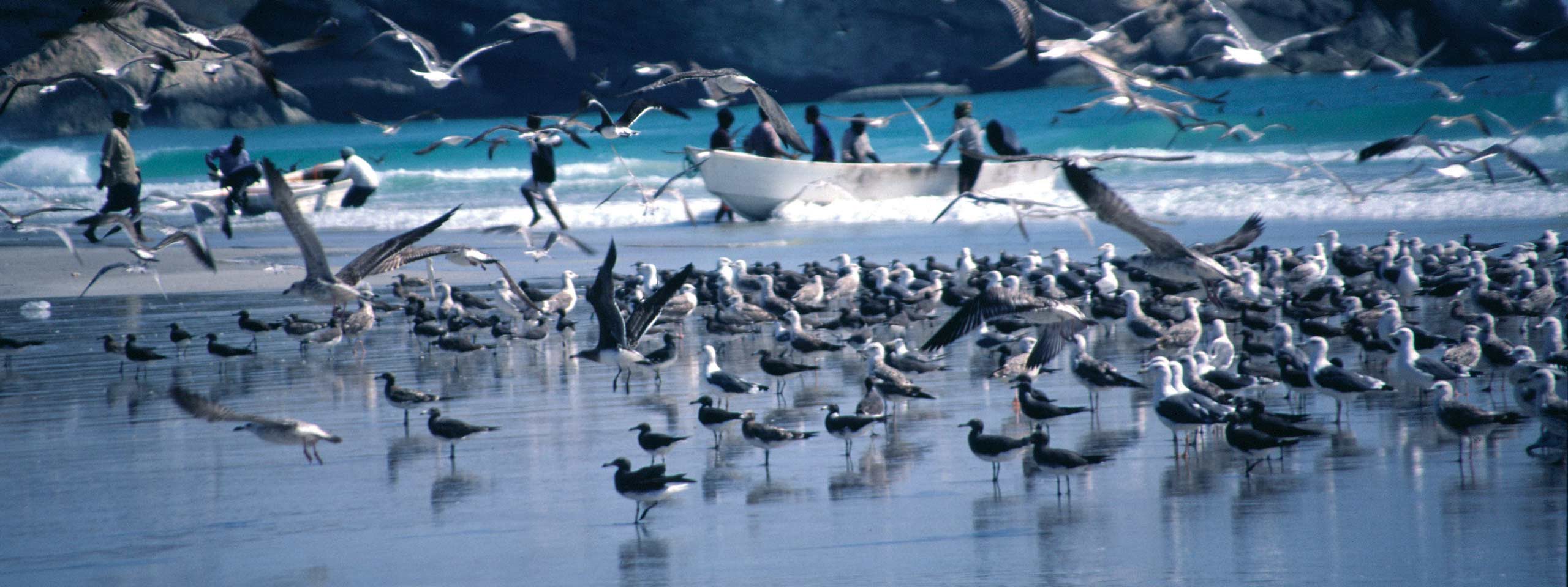 Flights to Salalah