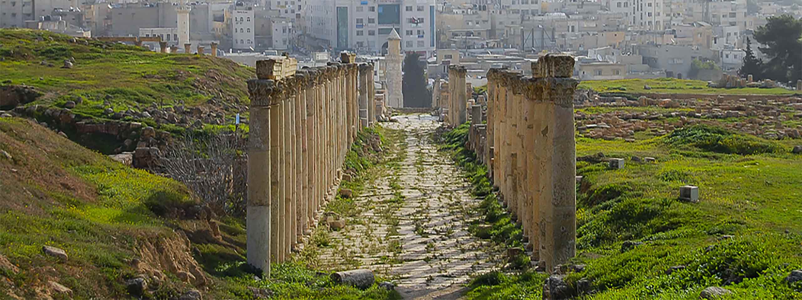 Book flights to Amman