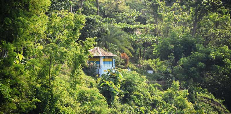 chittagong-forest-on-the-hill-806x400