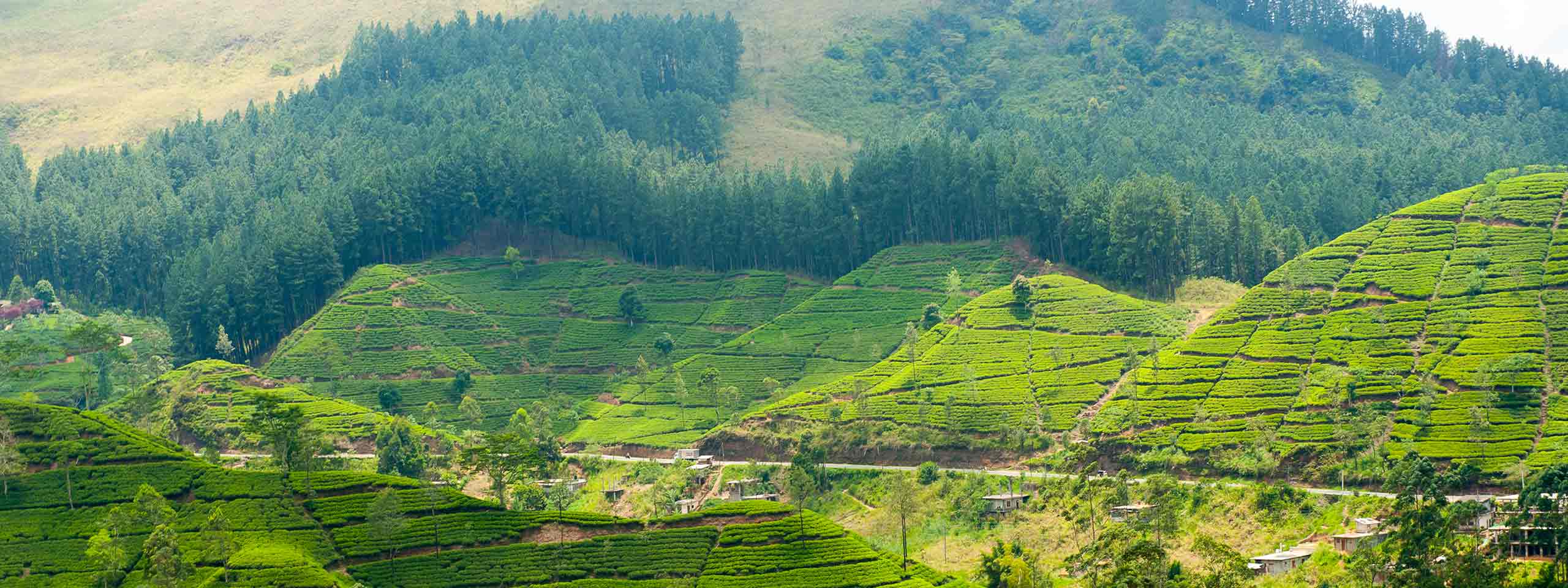 Book Flights to Colombo