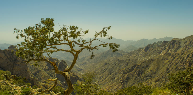 taif-nature-806x400